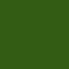 Vert-Tuileries touch-up paint for Citroen, code 531/AC531/ERD/GRD, 1978