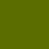 Candy-Lime-Green touch-up paint for Kawasaki, code 17P/8N/KAW9057, 2009