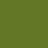 Triton-Green touch-up paint for Triumph, code HAG/ST9432, 1981