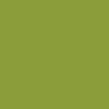 Yellowish-Green touch-up paint for Kawasaki, code KAW9055, 2003