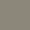 Beige touch-up paint for Kawasaki, code KAW9017, 2003