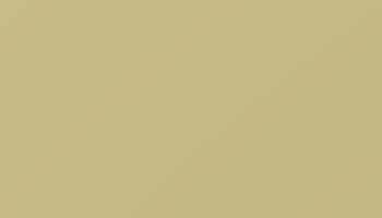Green Beige Paint - Touch Up RAL 1000 Touch-Up Paint product image