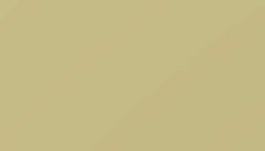 Green Beige Paint - Touch Up RAL 1000 Touch-Up Paint product image