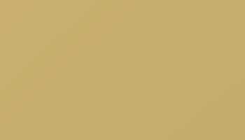 Sand Yellow Paint - Touch Up RAL 1002 Touch-Up Paint product image