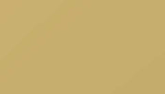 Sand Yellow Paint - Touch Up RAL 1002 Touch-Up Paint product image