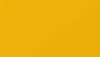 Signal Yellow Paint - Touch Up RAL 1003 Touch-Up Paint product image