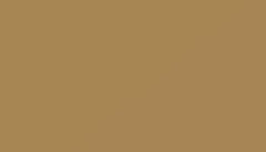 Brown Beige Paint - Touch Up RAL 1011 Touch-Up Paint product image