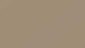 Grey Beige Paint - Touch Up RAL 1019 Touch-Up Paint product image