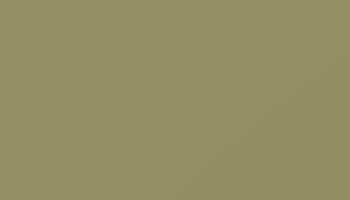 Olive Yellow Paint - Touch Up RAL 1020 Touch-Up Paint product image