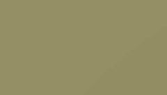 Olive Yellow Paint - Touch Up RAL 1020 Touch-Up Paint product image