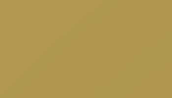 Ochre Yellow Paint - Touch Up RAL 1024 Touch-Up Paint product image