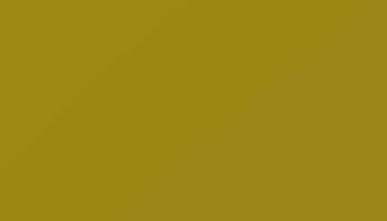 Curry Interior Paint - Touch Up RAL 1027 Touch-Up Paint product image