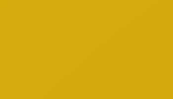 Broom Yellow Paint - Touch Up RAL 1032 Touch-Up Paint product image