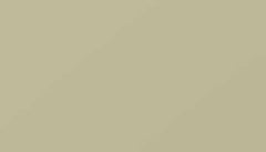Pearl Beige Paint - Touch Up RAL 1035 Touch-Up Paint product image
