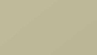 Pearl Beige Paint - Touch Up RAL 1035 Touch-Up Paint product image