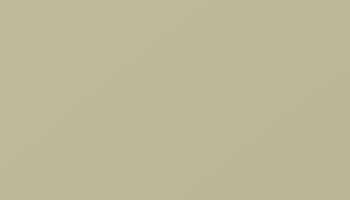 Pearl Beige Paint - Touch Up RAL 1035 Touch-Up Paint product image