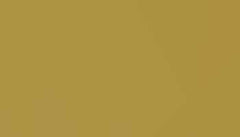 Pearl Gold Paint - Touch Up RAL 1036 Touch-Up Paint product image