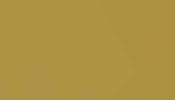 Pearl Gold Paint - Touch Up RAL 1036 Touch-Up Paint product image