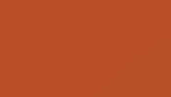 Red Orange Paint - Touch Up RAL 2001 Touch-Up Paint product image