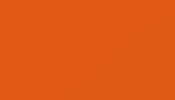 Pure Orange Paint - Touch Up RAL 2004 Touch-Up Paint product image