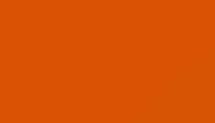 Traffic Orange Paint - Touch Up RAL 2009 Touch-Up Paint product image