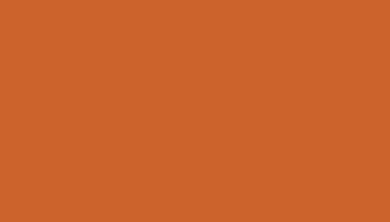 Signal Orange Paint - Touch Up RAL 2010 Touch-Up Paint product image