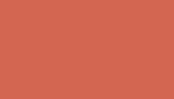 Salmon Orange Paint - Touch Up RAL 2012 Touch-Up Paint product image