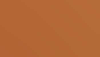 Pearl Orange Paint - Touch Up RAL 2013 Touch-Up Paint product image