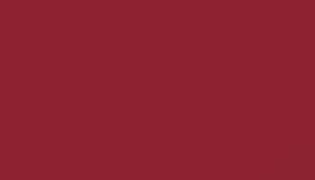 Ruby Red Paint - Touch Up RAL 3003 Touch-Up Paint product image