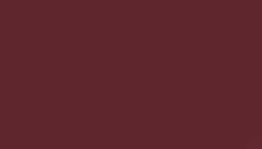 Wine Red Paint - Touch Up RAL 3005 Touch-Up Paint product image