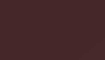 Black Red Paint - Touch Up RAL 3007 Touch-Up Paint product image