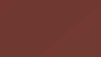 Oxide Red Paint - Touch Up RAL 3009 Touch-Up Paint product image