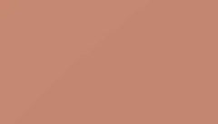 Beige Red Paint - Touch Up RAL 3012 Touch-Up Paint product image