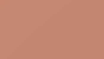 Beige Red Paint - Touch Up RAL 3012 Touch-Up Paint product image