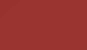 Tomato Red Paint - Touch Up RAL 3013 Touch-Up Paint product image