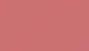 Antique Pink Paint - Touch Up RAL 3014 Touch-Up Paint product image