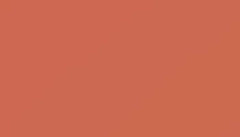 Salmon Pink Paint - Touch Up RAL 3022 Touch-Up Paint product image