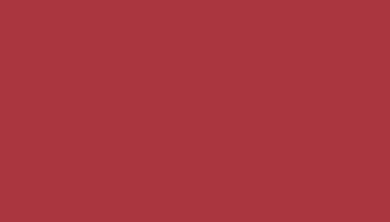 Orient Red Paint - Touch Up RAL 3031 Touch-Up Paint product image