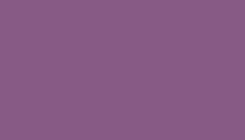 Red Lilac Paint - Touch Up RAL 4001 Touch-Up Paint product image