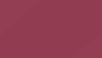 Red Violet Paint - Touch Up RAL 4002 Touch-Up Paint product image
