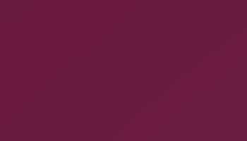 Claret Violet Paint - Touch Up RAL 4004 Touch-Up Paint product image