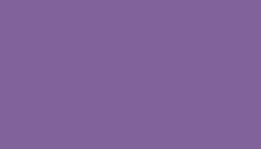 Blue Lilac Paint - Touch Up RAL 4005 Touch-Up Paint product image