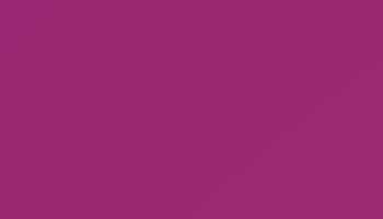Purple Violet Paint - Touch Up RAL 4007 Touch-Up Paint product image