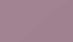 Pastel Violet Paint - Touch Up RAL 4009 Touch-Up Paint product image