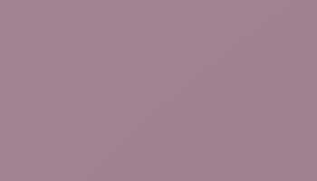 Pastel Violet Paint - Touch Up RAL 4009 Touch-Up Paint product image