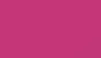 Telemagenta Interior Paint - Touch Up RAL 4010 Touch-Up Paint product image