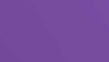 Pearl Violet Paint - Touch Up RAL 4011 Touch-Up Paint product image