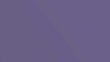 Pearl Blackberry Paint - Touch Up RAL 4012 Touch-Up Paint product image