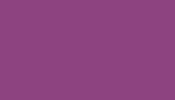 Signal Violet Paint - Touch Up RAL 4008 Touch-Up Paint product image