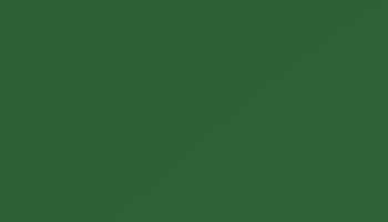 Leaf Green Paint - Touch Up RAL 6002 Touch-Up Paint product image